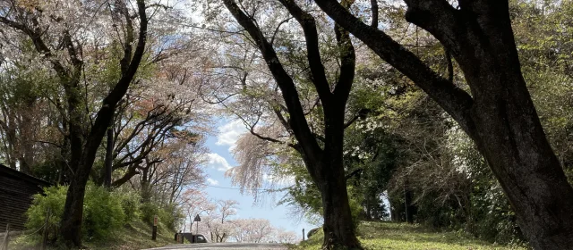 ブログアイキャッチ画像047